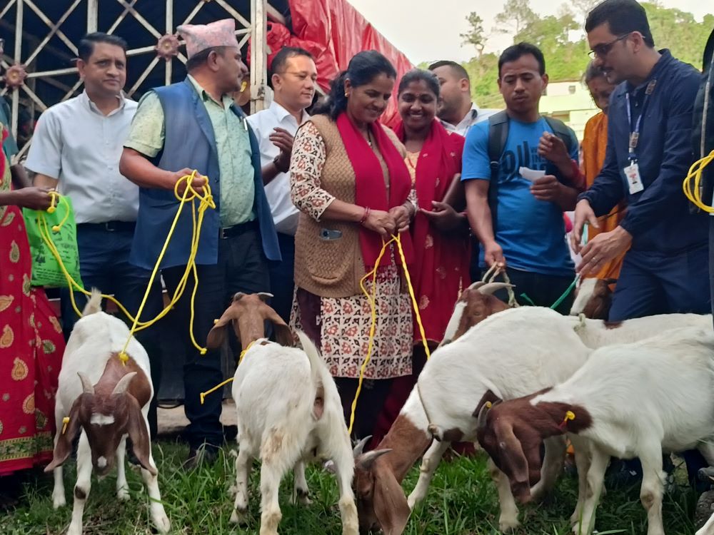 विपन्नको जीवनस्तर उकास्न बाख्रा वितरण       